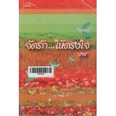 จัดรัก...ให้ตรงใจ (ปาย)