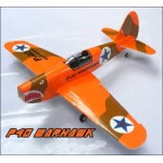 เครื่องบินบังคับ รุ่น p40 warhawk 4ch