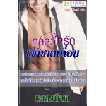 กลลวงรักเจ้าชายเถื่อน (เพลงมีนา) (EBOOK)