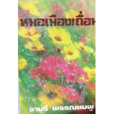 หมอเมืองเถื่อน (เล่ม 1-2) (จามรี พรรณชมพู)