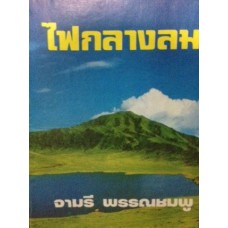 ไฟกลางลม (เล่ม 1-2) (จามรี พรรณชมพู)