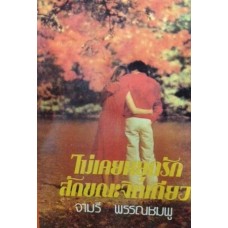 ไม่เคยหยุดรักสักขณะจิตเดียว (เล่ม 1-2) (จามรี พรรณชมพู)