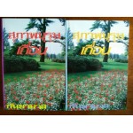 สุภาพบุรุษเถื่อน แต่งโดย กันยามาส 1-2 เล่ม (จบ)