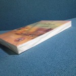 สุดทราย ปลายฟ้า (อลินน์)