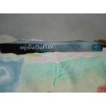 อยู่เย็นเป็นศพ Ice Cold (Tess Gerritsen)