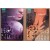 House Of Night เคหาสน์รัตติกาล  เล่ม 1-10 - พี.ซี. คาสต์ / คริสติน คาสต์