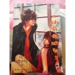 เทหัวใจให้นายหน้าจืด เล่ม 03