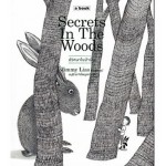 Secrets in The Woods ปริศนาในป่าฝัน